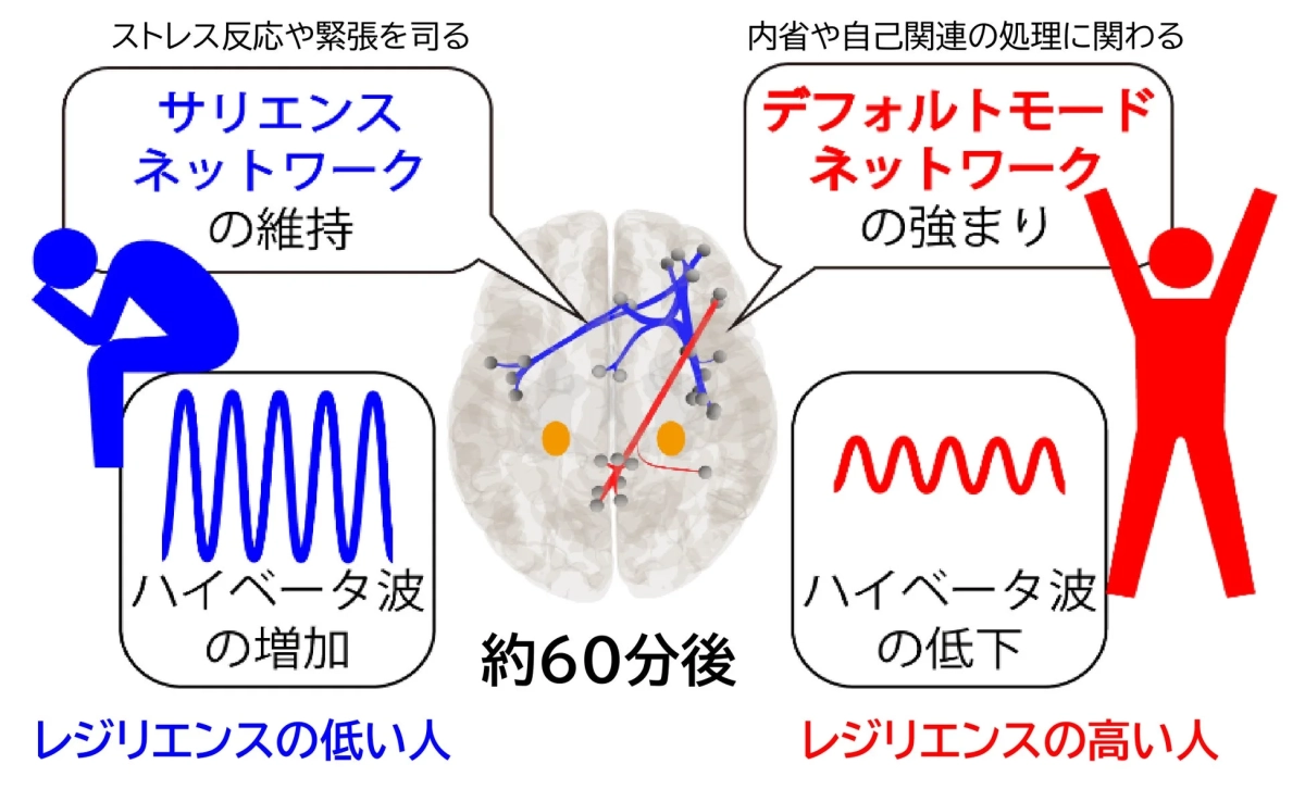 レジリエンスの低い人と高い人における脳活動の違い