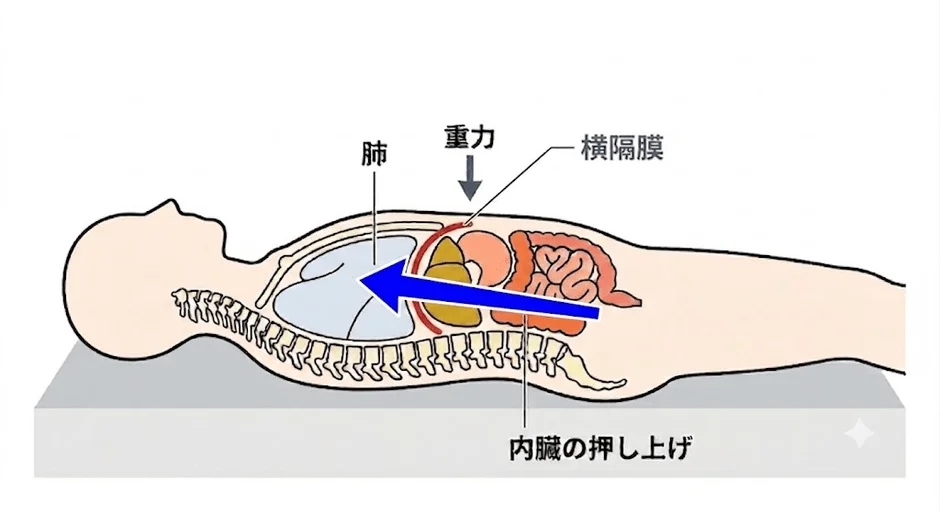 内臓の押し上げ
