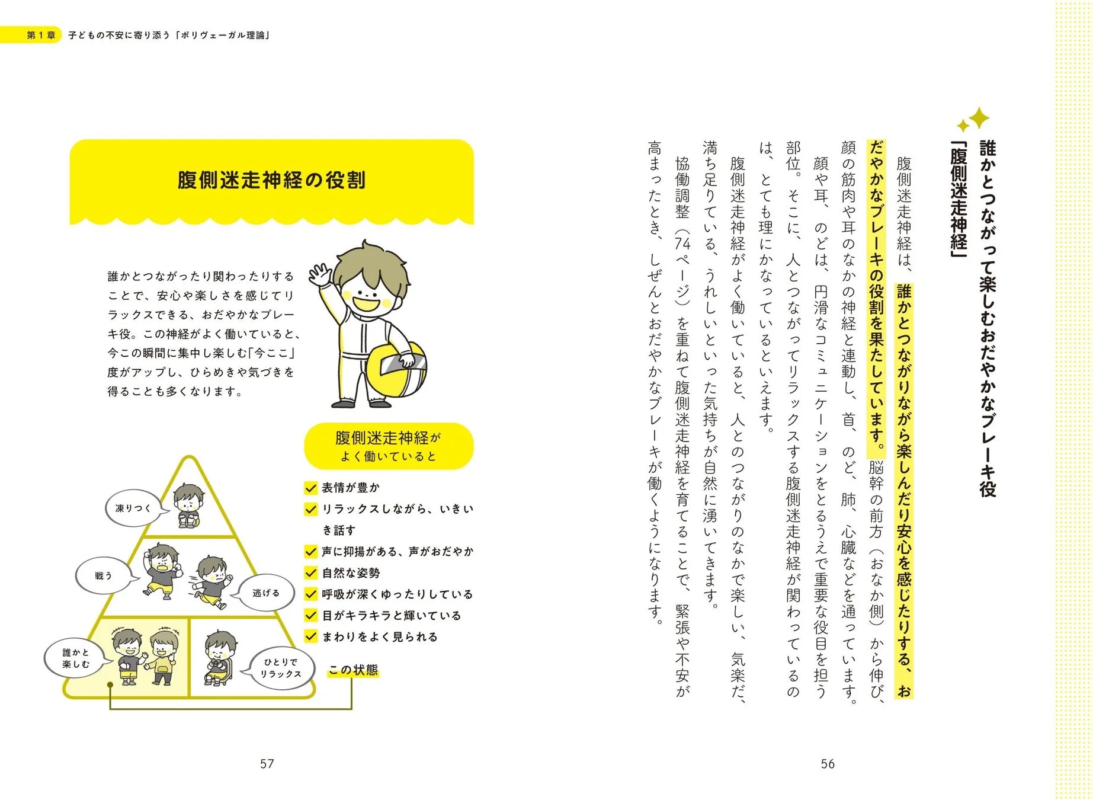 腹側迷走神経の役割