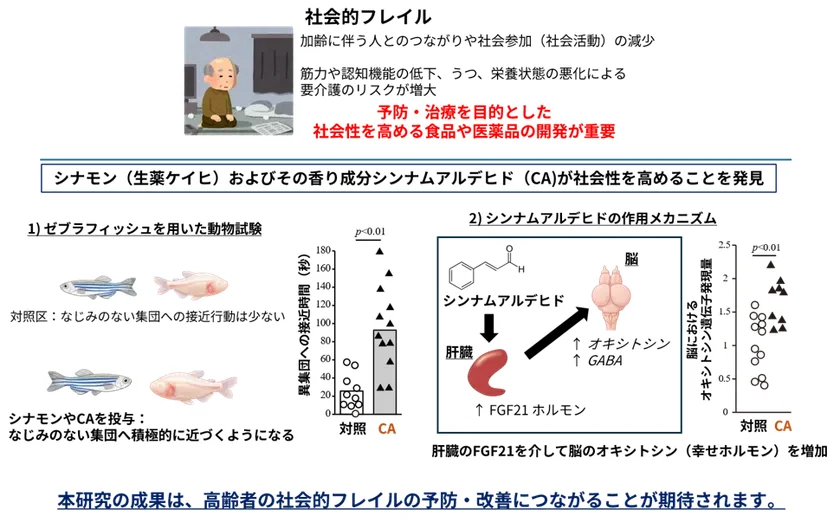 研究成果概要