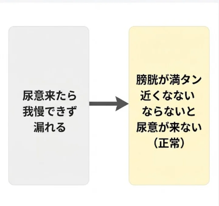 尿意を感じたら我慢できずに漏れる状態と正常な状態の比較