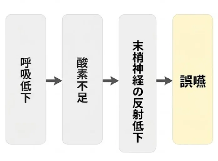 呼吸低下から誤嚥に至る生理学的プロセス